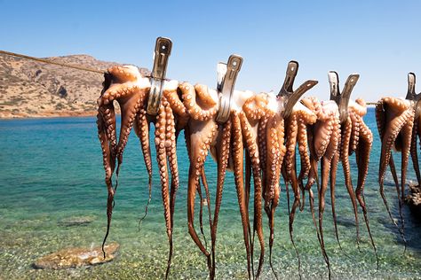 Elounda Crete, Crete Beaches, Peninsula Hotel, Baby Moon, Restaurant Guide, Crete Greece, Early Autumn, Babymoon, Amazing Travel Destinations