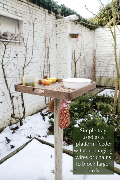 Bird Feeding Table, Bird Feeder Station, Backyard Birds Sanctuary, Backyard Birds Feeders, Bird Feeding Station, Bird Tables, Weekly Inspiration, Bird Bath Garden, Diy Bird Feeder