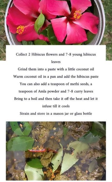 Hibiscus Hair Mask, Homemade Hair Oil, Hair Oil Recipe, Hibiscus Hair, Thick Long Hair, Homemade Hair Treatments, Healthy Natural Hair Growth, Hair Care Remedies, Mira Rajput