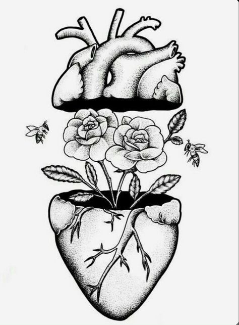 Sketch Of Heart, Biology Drawing, Biology Art, Art Tutorials Watercolor, Meaningful Drawings, Tattoo Style Drawings, Art Drawings Sketches Pencil, Dark Art Drawings, Human Heart