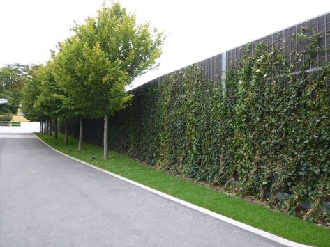 GREENSoundBlok - Gramm Barriers Green Planting System Noise Barrier Fence, Outdoor Noise Barrier, Natural Sound Barriers, Fence Sound Barrier, Road Noise Barrier, Acoustic Barrier, Noise Barrier, Garden Privacy Screen, Sound Wall