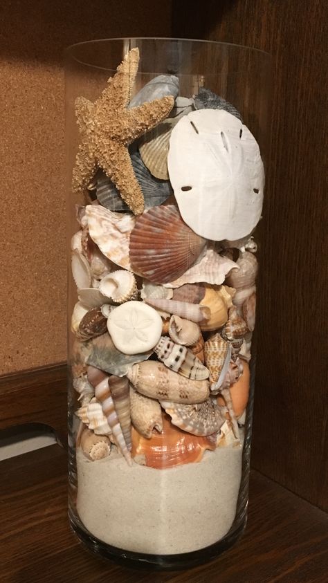 Seashell Jar Display, What To Do With Collected Seashells, Sea Shell Jar, Seashell Vases Ideas, Conch Shells Decoration Ideas, Seashell Containers, Storing Seashells, Seashell Display Ideas, Jar Of Shells