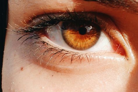 Golden Brown Eyes, Brown Eyes Aesthetic, Amber Eyes, Character Inspiration Male, Golden Eyes, Eye Photography, Aesthetic Eyes, Gold Eyes, Hazel Eyes