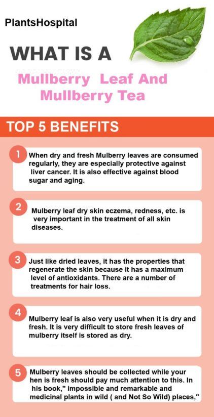 #effects #mulberry #paper #side #supplement #5000+crafts Check more at https://2020diy.club/paper-mulberry-supplement-side-effects/ Mulberry Leaves Benefits, Mulberry Benefits, Medicinal Trees, Mulberry Tea, Fruity Drink Recipes, Herbal Living, Mulberry Recipes, Mulberry Leaves, Herbal Witch