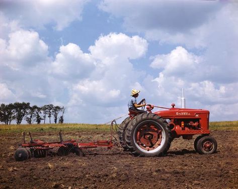 Farmall M, Feeling Minnesota, Tractor Pictures, Farm Day, International Tractors, Bright Blue Sky, Farmall Tractors, Future Farms, Farm Scene