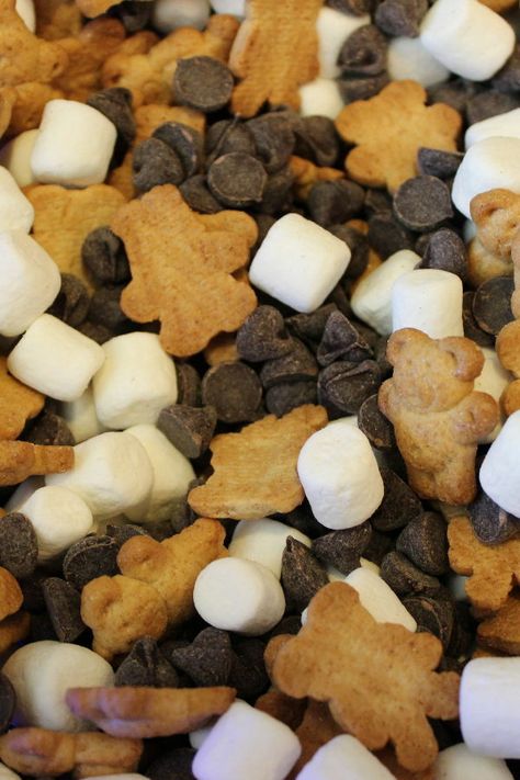 Smores Ideas, Smores Snacks, Teddy Bear Baby Shower Theme, Camping Snacks, Bear Baby Shower Theme, Teddy Grahams, Teddy Bear Party, Teddy Bear Birthday, Baby Shower Theme Decorations