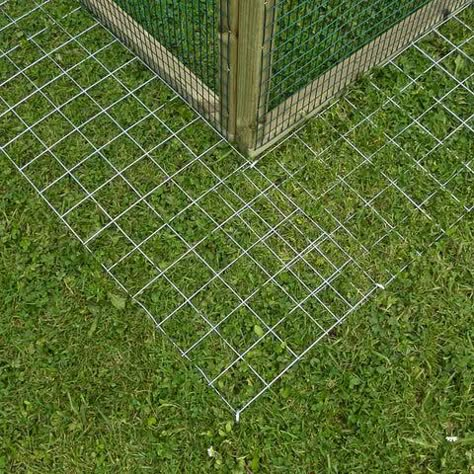 Cute Chicken Coops, Chicken Coop Garden, Portable Chicken Coop, Backyard Chicken Coop Plans, Chicken Coup, Diy Chicken Coop Plans, Chicken Coop Run, Backyard Chicken Farming, Chicken Run