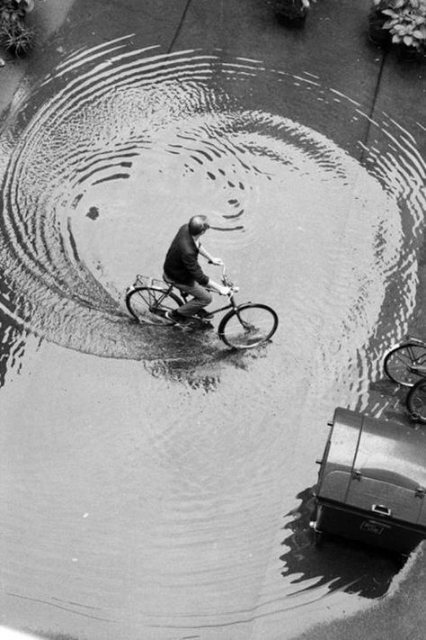 larry towell Wow Photo, Robert Doisneau, Fotografi Vintage, Riding A Bike, Cicely Mary Barker, Photos Vintage, Foto Art, White Picture, Black White Photos