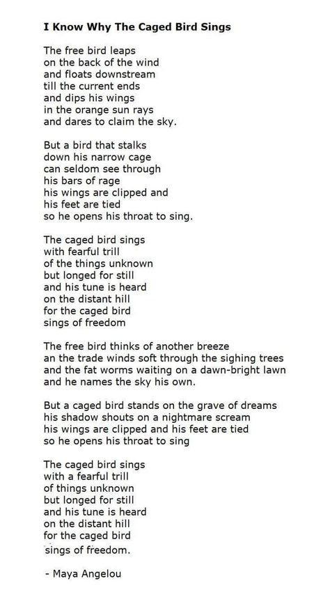 Maya Angelou Caged Bird, Bird Poems, Maya Angelou Poems, Hanging Quotes, Why The Caged Bird Sings, Sympathy Poems, Poems Deep, Caged Bird Sings, The Caged Bird