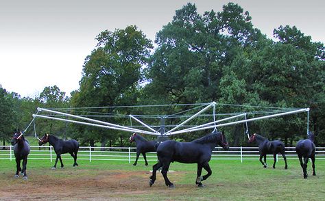 Lead Walker - Horse Walker - Priefert Arena Footing, Horse Walker, Manure Spreaders, Horse Shed, Horse Farm Ideas, Horse Arena, Horse Barn Designs, Dream Horse Barns, Horse Barn Plans