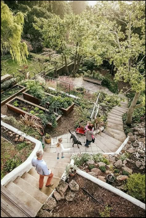 Hillside Gardens, Steep Gardens, Amazing Landscaping Ideas, Terraced Garden, Landscaping A Slope, Sloped Backyard Landscaping, Landscaping On A Hill, Sloped Yard, Hillside Garden