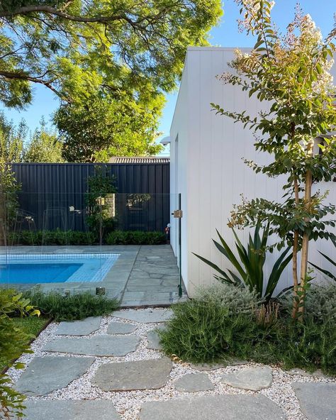 Greenwell Landscapes on Instagram: “Completed one year ago, this flourishing garden we designed and built is on the favourites list. #greenwelllandscapes…” Australian Beach House, Favourites List, One Year Ago, Courtyard Garden, Pool Deck, Home Reno, Pool Area, Front Garden, Little Houses