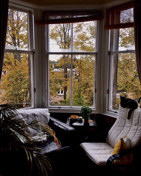 Room Ideas Aesthetic Bay Window, Edinburgh Home Interior, Bay Window Aesthetic, Edinburgh Flat Interior Design, Edinburgh Flat, Cottagecore Bay Window, Edinburgh Window View, Cottage Windows, London Apartment