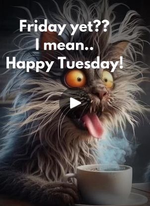 323K views · 10K reactions | Happy Tuesday! 😆 | By Inspire Your Beautiful Soul | Facebook Good Morning Tuesday Funny, Work Reflections, Its Tuesday, Tuesday Humor, Happy Tuesday, Happy Moments, Beautiful Soul, Your Beautiful, Funny Stuff