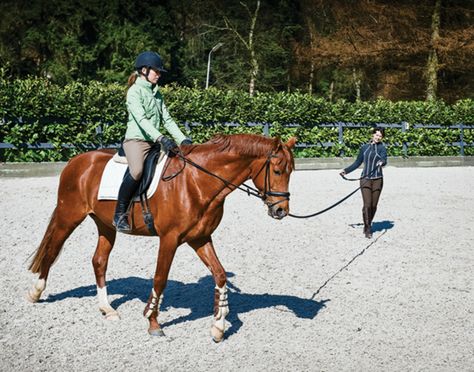 Lunging Horse, Riding Instructor, Chestnut Horses, Riding School, Hobby Horses, Cool Coats, Star Stable, Horse Health, Chestnut Horse