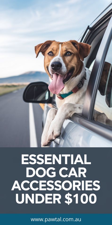 Looking to keep your car clean and your dog safe on the road? Discover essential dog car accessories that are both affordable and effective, all under $100! From seat protectors to travel crates, this guide covers the best car gear to ensure comfortable and mess-free trips with your pet. Make car travel with your dog easier, read more to find the must-haves for your next adventure! Pet Booster Seat, Dog Travel Accessories, Dog Car Accessories, Calming Cat, Dog Travel Bag, Pet Wipes, Dog Seat Covers, Dog Ramp, Dog Seat