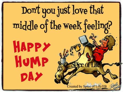 Dont you just love that middle of the week feeling? Happy Hump Day Middle Of The Week Quotes, Hump Day Quotes, Wednesday Memes, Wednesday Hump Day, Wednesday Morning Quotes, Wednesday Greetings, Blessed Morning, Hump Day Humor, Wednesday Humor