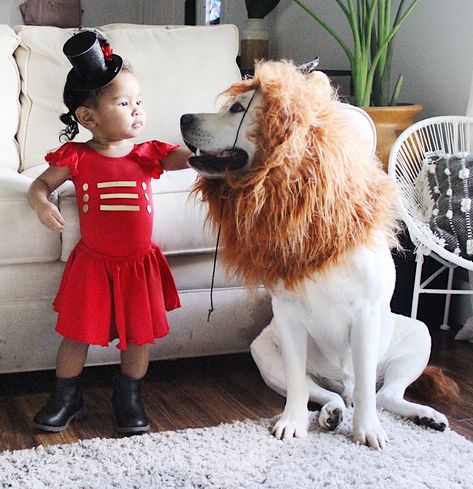 LION TAMER COSTUME | HALLOWEEN - HOME OF THE HARVEY'S Diy Lion Tamer Costume, Boba Tea Costume, Toddler Dog Costume, Baby Dog Costume, Tea Costume, Dog Lion Costume, Lion Tamer Costume, Vintage Circus Theme, Fun Halloween Costumes