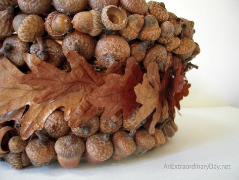 How to Make an Acorn and Oak Leaf Basket | An Extraordinary Day Easy Fall Home Decor, Acorn Diy, Fall Home Decor Diy, Acorn Decor, Crafts For Fall, Ingenious Ideas, Leaf Basket, Acorn Decorations, Acorn Leaf