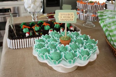 Peter Rabbit Birthday Party, Beatrix Potter Birthday, Rabbit Birthday Party, Storybook Party, Rabbit Theme, Peter Rabbit Birthday, Rabbit Birthday, Peter Rabbit Party, Rabbit Garden