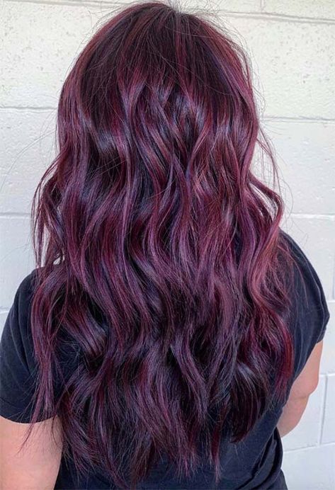 Plum Hair Color Ideas, Plum Hair Dye, Dark Plum Hair, Plum Hair Color, Pelo Color Vino, Hair Color Guide, Hair Color Plum, Dyed Tips, Plum Hair