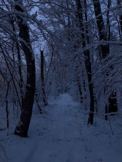 Snowy Scenery Aesthetic, Winter Wood Aesthetic, Cold And Dark Aesthetic, Nicocore Aesthetic, Dark Snowy Aesthetic, Dark Snowy Forest Aesthetic, Snowy Dark Forest, Poland Winter Aesthetics, Forest Snow Aesthetic