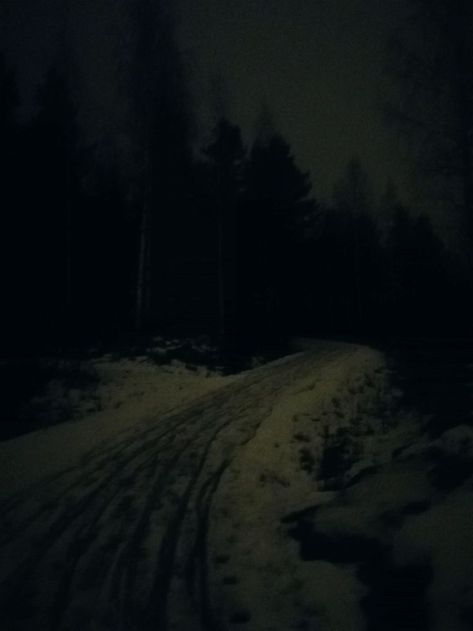 Aesthetic Creepy, Paranormal Aesthetic, Snowy Road, Dark Naturalism, Dark Landscape, Dark Christmas, Creepy Pictures, Snowy Forest, Dark Paradise