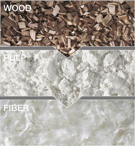 Lyocell Fibre process (is it rayon?) Eucalyptus chips are treated with amino liquids to form a consistent cellulose pulp then spun into lyocell fibre  Pilling can be mitigated with an ezyme coating (enter Chitosante and others) Garden Texture, Exam Revision, Gcse Textiles, Lyocell Fabric, Types Of Textiles, Fibre And Fabric, Cellulose Fiber, Fashion Textiles, Eucalyptus Wood