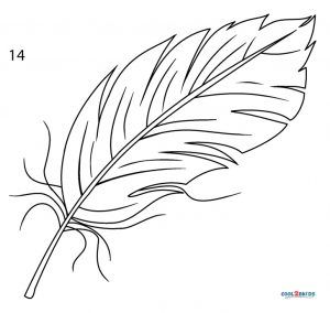 Feather Outline Drawing, How To Draw Birds, Bird Stencils, Feather Outline, Feather Template, Draw Birds, Crows Drawing, Preschool Calendar, Birds For Kids