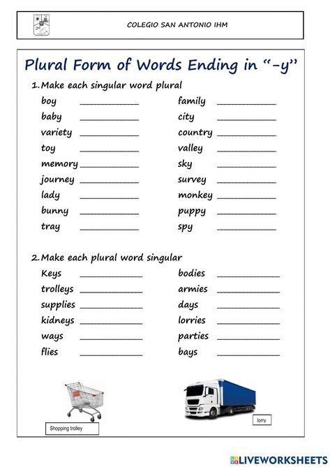 Making Words Plural, Y Worksheet, Plural Nouns Worksheet, Plurals Worksheets, Changes In Matter, Plural Words, Singular And Plural Nouns, Singular Nouns, Worksheets For Grade 3