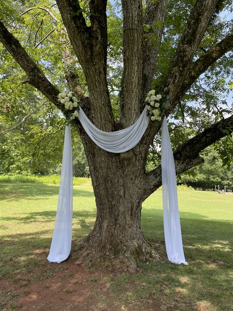 Drapery In Trees Outdoor Weddings, Christmas Tree Wedding Ceremony, Wedding Tent Decor, Tree Wedding Ceremony, Wedding Drapery, Dark Wedding Theme, Draping Wedding, Tent Decor, Patio Wedding