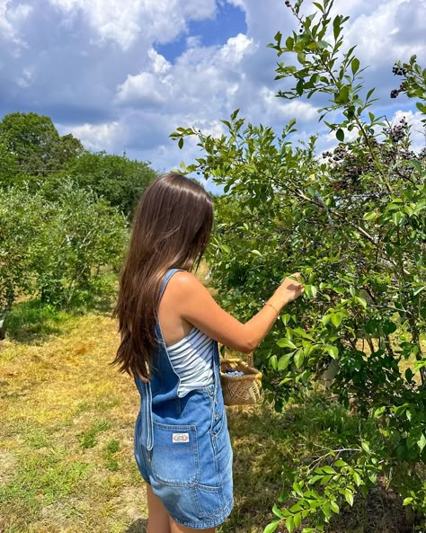 Checking blueberry picking date off the summer bucket list!🫐🫶🏼🧺🌾 #summerdate #summeractivity #summeroutfit #blueberrypicking Fruit Picking Outfit Summer, Blueberry Picking Aesthetic, Blueberry Picking Outfit, Blueberry Girl, Blueberry Picking, Blue Aura, Modest Outfit Ideas, Insta Pictures, Summer Dates