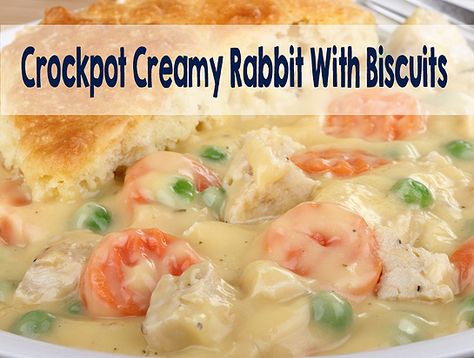 In the summer who wants to stand over a hot oven cooking? Not us! That's why we love our crock pot so much and Creamy Rabbit with Biscuits. Rabbit Recipe Crockpot, Crockpot Rabbit Recipe, Rabbit Soup, Easy Rabbit Recipe, Fried Rabbit, Rabbit Recipe, Rabbit Recipes, Rabbit Meat, Rabbit Stew