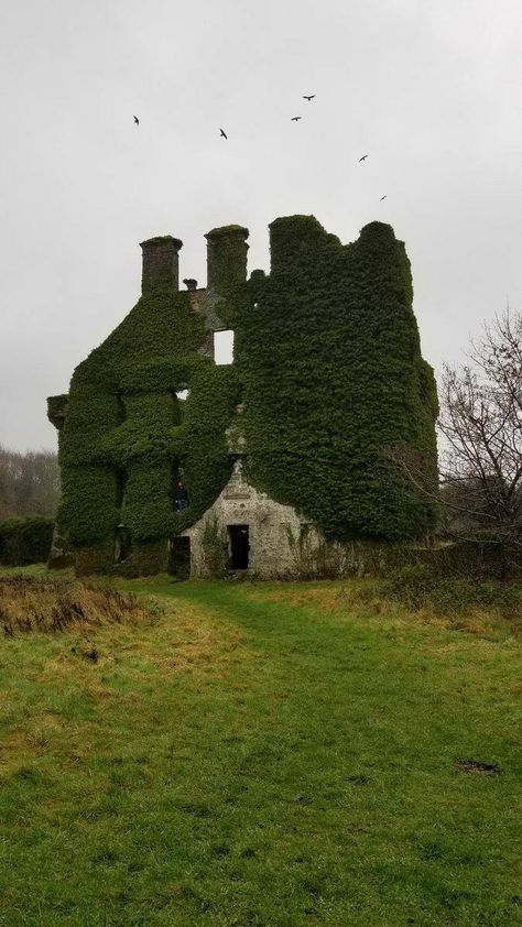 Irish Highlands, Ireland Aesthetic, Old Abandoned Buildings, Dublin Ireland Travel, Ireland Photography, Irish Spring, Beautiful Ruins, Ireland Landscape, Atlas Obscura