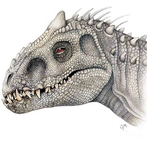 Indominus Rex drawing by @juliannamaston. #jurassicworld #indominusrex #draw… Indominus Rex Drawing, Dinosaurs Drawings, Rex Drawing, Dinosaur Drawings, Dinosaur Stuff, Dino Art, Dinosaur Sketch, Indominus Rex, Head Drawing