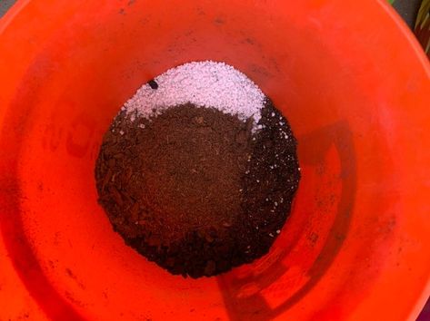 How to Make Aroid Soil - Ophelia Plants Aroid soil mix Plant Parenting, Orchid Bark, Simple Recipe, Soil, Easy Meals, Parenting, Plants