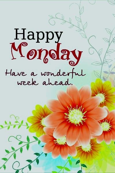 Happy Monday Images, Monday Greetings, Quotes To Start Your Day, Happy Monday Quotes, Happy Monday Morning, Monday Images, Monday Morning Quotes, Happy Tuesday Quotes, Good Morning My Friend