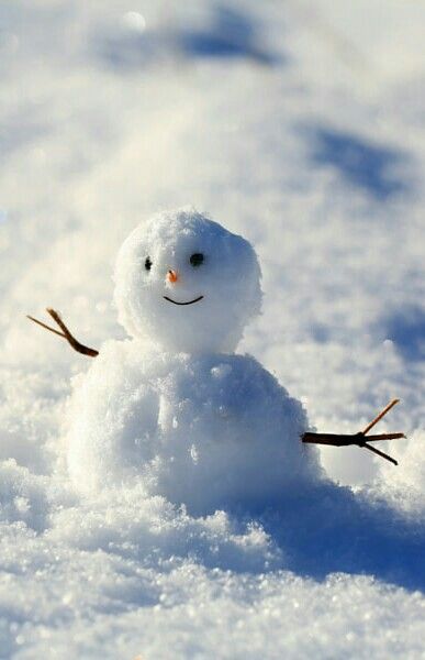 Snow Man Aesthetic, Snowman Aesthetic, Snowy Photos, Snowman Real, Winter Widgets, Scene Pictures, Winter Core, Snowman Photos, Snowmen Pictures