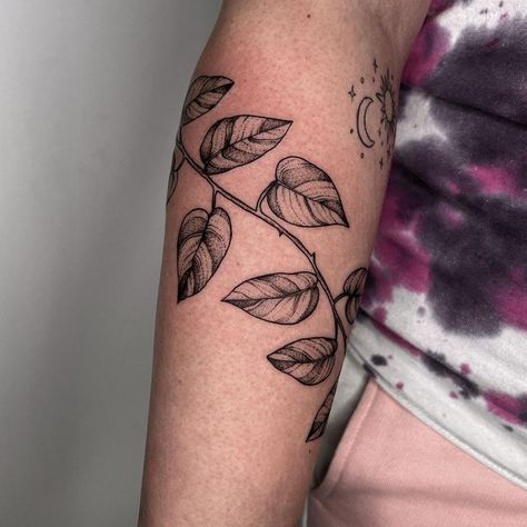 Pothos Leaves Tattoo, Heart Leaf Philodendron Tattoo, Tree Branch Shoulder Tattoo, Pothos Leaf Tattoo, Pathos Vine Tattoo, Pothos Tattoo Black And White, Fiddle Leaf Tattoo, Botanical Tattoo Stencil, Pothos Tattoo Sleeve