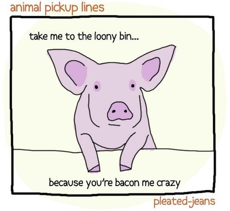 Cheesy Pick Up Lines, Corny Pick Up Lines, Daily Odd Compliment, Pleated Jeans, Teacup Pigs, Pick Up Lines Cheesy, Pick Up Lines Funny, Pickup Lines, Flirting Humor