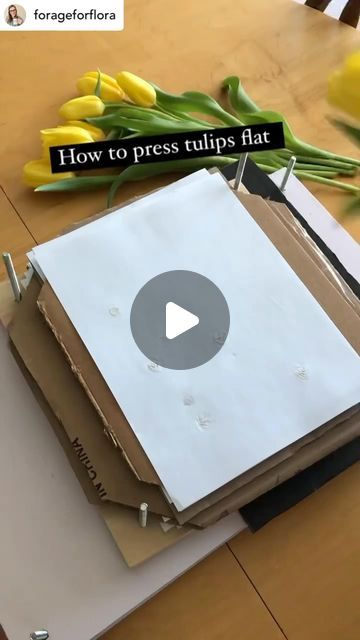 💐Flower Press Tips🌷by Berstuk on Instagram: "How to preserve tulips🌷 I suspected that pressing these tulips straight up as they are would be too thick and would go mouldy and wasn’t feeling adventurous this time. I saw a florist arrange a bouquet of tulips like this and thought it would be perfect for the press! Simply flip back each of the petals to have the flower sit flat in the press. Stay tuned to see how it worked out ♥️
.
.
.
📸 @forageforflora 💛

Whoelse press tulips this way? ❤️

————————————————————————

#flowerpress #flowerpressing #flowerpressed #flowerpressings #flowerpressingart #flowerpressingtips #flowerpressart #flowerpresstips #flowerpresskit #flowerpressproject #flowerpressedart #flowerpressingkit #flowerpresser #flowerpresses #flowerpressersofinstagram #flowerpressi How To Press Tulips, Pressed Tulips, Dried Tulips, Flower Press Kit, Bouquet Of Tulips, Flower Pressing, Flower Press, The Press, Pressed Flowers