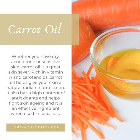 Carrot oil is rich in antioxidants, which makes it the perfect anti-aging ingredient. It is beneficial as a rejuvenator for aging skin. 💆✨ ⠀ #skinscare #luxuryskincare #beautifulskin #healthyskincare #skinwhitening #skincarewhitening #beautyhacks #softskin #darkskin #acnescars #darkskinwomen #darkskingirls #luscious #glowingskincare #glowing #serumglowing #glowingskin #skincareregime #skincarenatural #naturalskincare #naturalglowingskin #skinroutine #skincareregimen #makeupaddicts #brownmakeup Carrot Oil For Skin Benefits, Carrot Oil For Skin, Diy Mineral Makeup, Hoodoo Herbs, Diy Natural Makeup, Carrot Oil, Skin Facts, Skin Care Basics, Oil For Skin