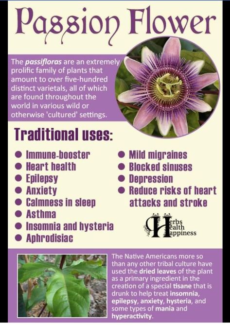 Passion Flower Benefits, Workout Mindset, Herbal Medicine Recipes, Medicinal Herbs Garden, Medical Herbs, Healing Garden, Magic Herbs, Herbal Apothecary, Natural Healing Remedies