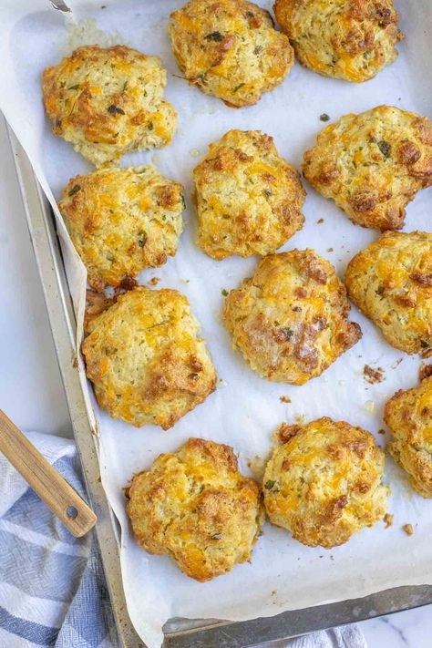 Enjoy these easy sourdough cheddar biscuits as a side to breakfast, lunch, or dinner. These fluffy biscuits also make for a great snack. Made with sharp cheddar, garlic powder, and a little parsley butter on top, it's really difficult to just eat one. #SourdoughCheddarBayBiscuits #SourdoughCheddarBiscuits #FarmhouseonBoone Cheddar Biscuits Recipe, Cheesy Garlic Biscuits, Garlic Cheddar Biscuits, Parsley Butter, Farmhouse On Boone, Sourdough Biscuits, Recipe Using Sourdough Starter, Red Lobster Biscuits, Garlic Cheddar