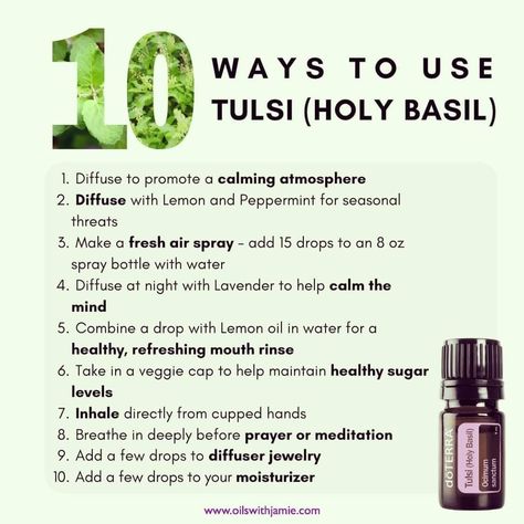 Basil Oil Benefits, Doterra Basil, Holy Basil Essential Oil, Air Spray, Doterra Oil, Basil Essential Oil, Doterra Essential Oils Recipes, Essential Oils Guide, Aroma Therapy