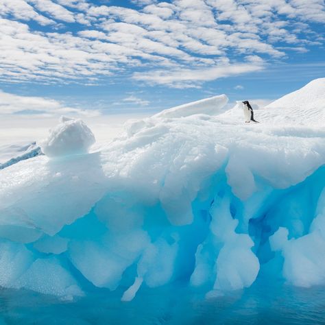 What Not To Pack On Your Cruise To Antarctica | Condé Nast Traveler Cruise To Antarctica, Canon R7, Arctic Cruise, Celebrity Eclipse, Antarctica Cruise, Antarctica Travel, Cruise Attire, Night Anime, Princess Cruise