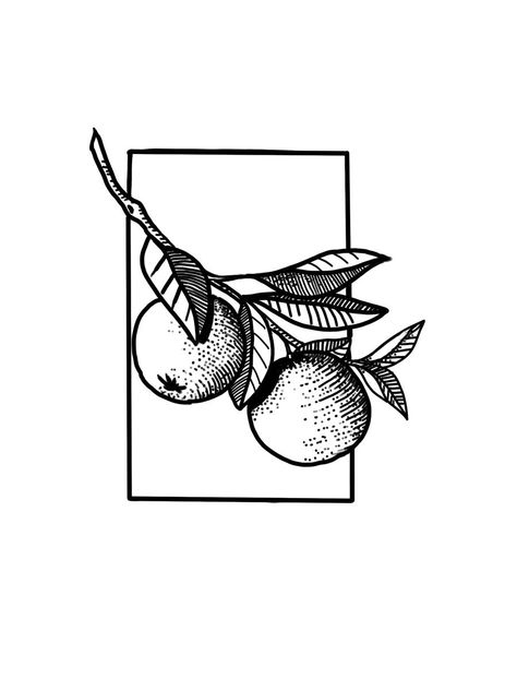 orangen line arttattooorangenbaumschwarz weiß Orange Tree Tattoo Black And White, Orange Blossom Line Drawing, Orange Fruit Tattoo Black And White, Orange Line Tattoo, Tattoo Of An Orange, Tattoo Of Orange, Orange Tattoo Fruit Black, Vintage Tattoo Aesthetic, Simple Orange Tattoo