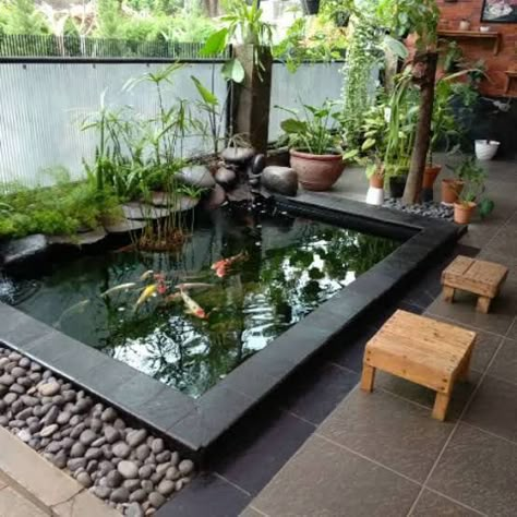 Koi Fish Pond Inside House, Koi Pond Indoor Home, Indoor Koi Pond Ideas, Fish Pool Design, Koi Pond Indoor, Koi Fish Pond Backyard, Indoor Fish Pond Ideas, Modern Koi Pond, Indoor Koi Pond