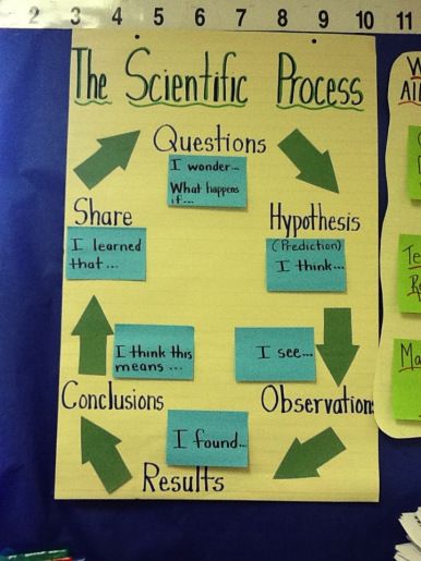 Introducing the scientific process with some prompts to use when talking and writing. Scientific Method Anchor Chart, Process Poster, Scientific Process, Science Anchor Charts, 7th Grade Science, Science Writing, Third Grade Science, 4th Grade Science, 6th Grade Science