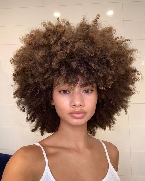 27.5k Likes, 135 Comments - hannah mussette 🦥 (@mussette) on Instagram: “HUGE VOLUME 😍 stay tuned on my YouTube channel to see how I achieved this! Pick from @jumubrand…” Cabello Afro Natural, Curly Fro, Coily Hair, Pelo Afro, Natural Curls Hairstyles, 4c Hairstyles, Natural Hair Inspiration, Light Brown Hair, Hair Crush